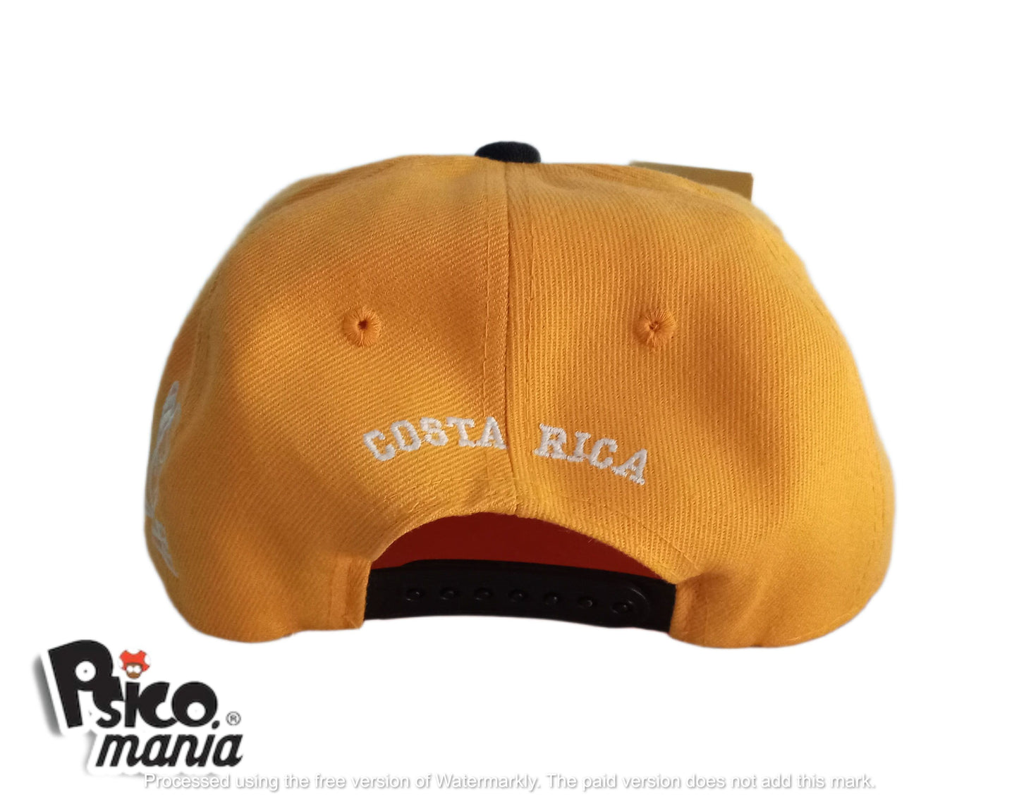 Badariel Snapback