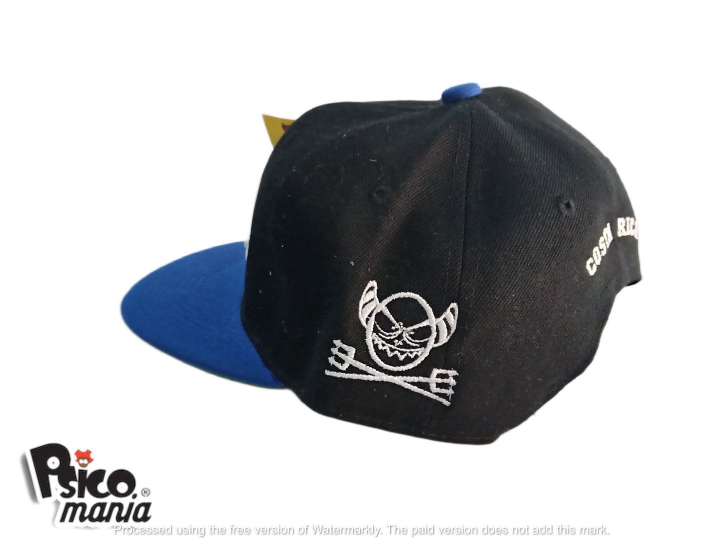 Badariel Snapback