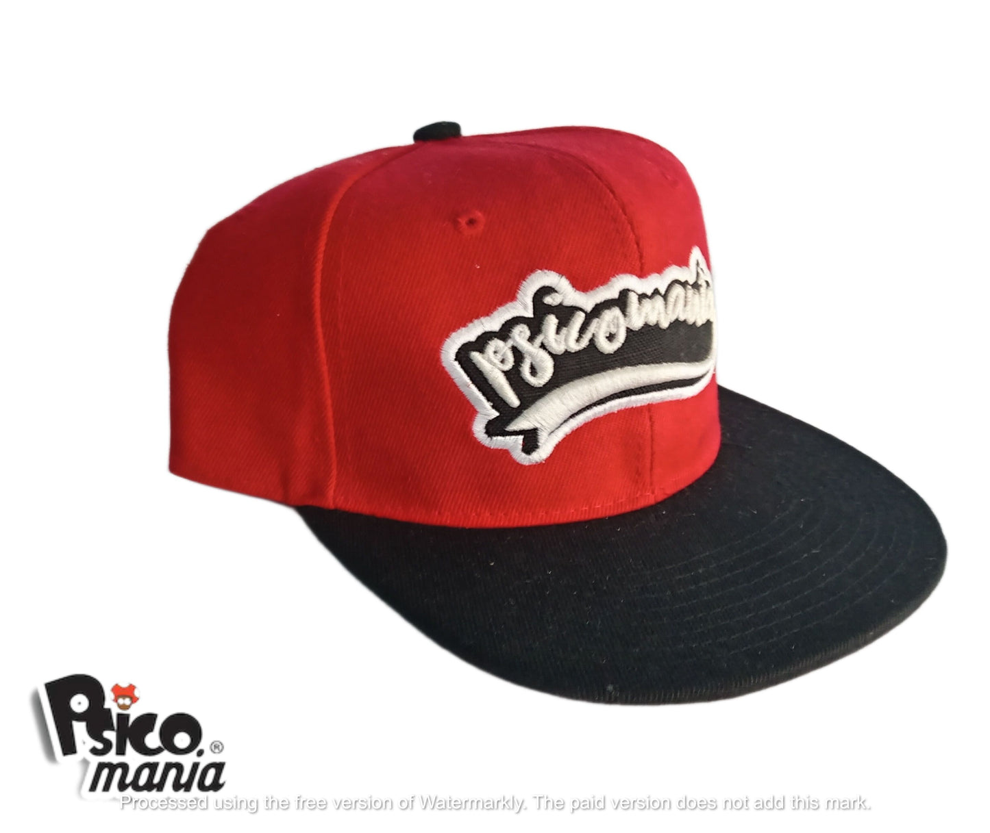 Badariel Snapback